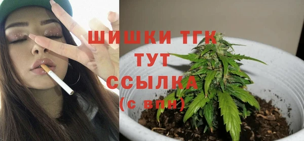 гидра Арсеньев
