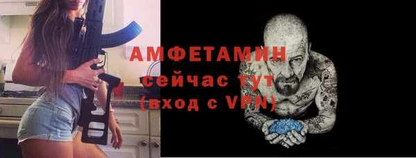 дживик Надым