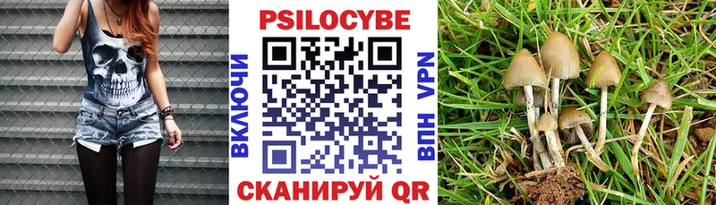 закладка  Сольцы  Псилоцибиновые грибы ЛСД 
